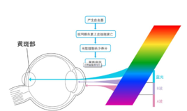 是不是藍光都會對眼睛造成傷害